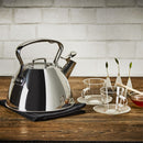 ALL-CLAD Stainless Tea Kettle, 2Qt,