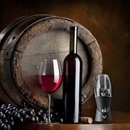 Vinturi Red Wine Aerator