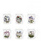 Botanic Garden Breakfast Mug 9 oz Set of 6