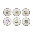 Botanic Garden Soup Plate 8"