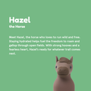 Asobu Bestie Bottle Horse