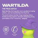 Asobu Spookie Bottle Wartilda The Witch 16 oz
