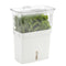 Cole & Mason Fresh Herb Keeper