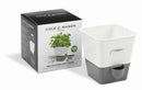 Cole & Mason Self Watering Herb Keeper