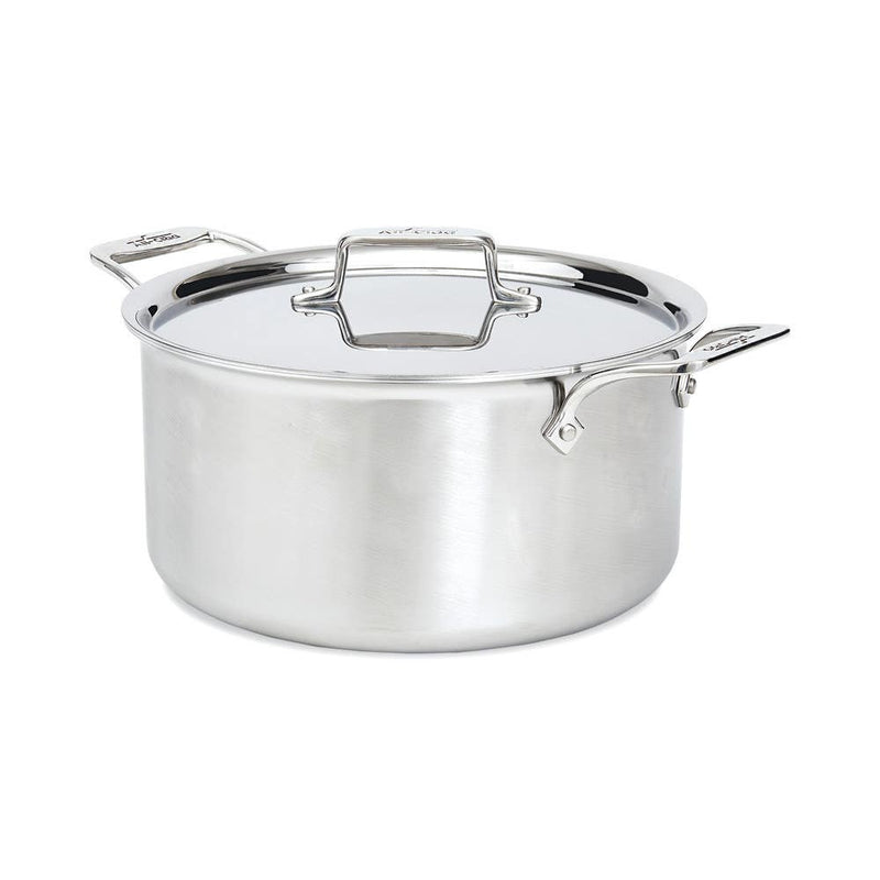 All-Clad D5 8qt stockpot