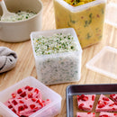 W&P Freezer Cubes Set