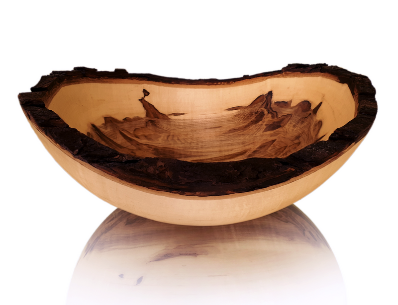 Stinson Bark Edge Ambrosia Maple. 11" to 19"