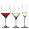 Spiegelau Authentis Bundle Set of 12 (4 Bordeaux glasses, 4 White wine small, 4 Champagne flutes)