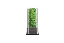 Herb Savor Stainless Steel
